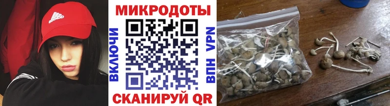 магазин    Томмот  Галлюциногенные грибы Cubensis 